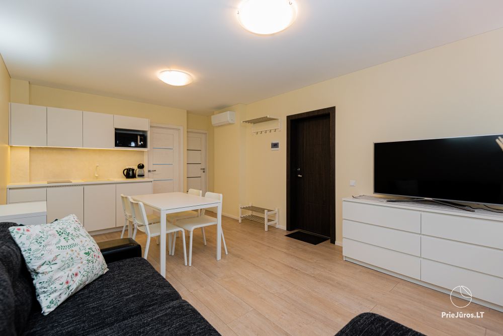 Apartments with the view to the pine forest for rent in Preila Preila4You