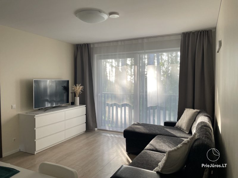 Apartments with the view to the pine forest for rent in Preila Preila4You