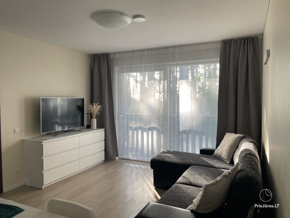 Apartments with the view to the pine forest for rent in Preila Preila4You - 1