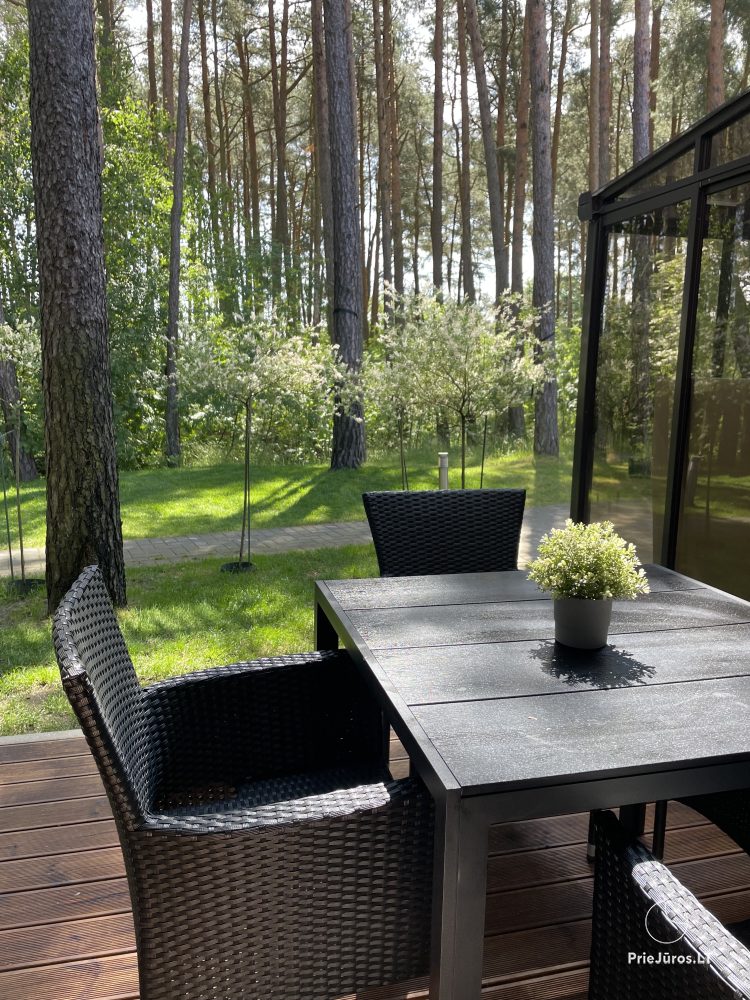 Apartments with the view to the pine forest for rent in Preila Preila4You