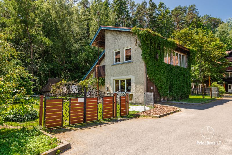 Apartment rent in Juodkrante