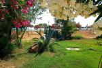 Cosy quadruple apartment with large terrace in Kipras - 6