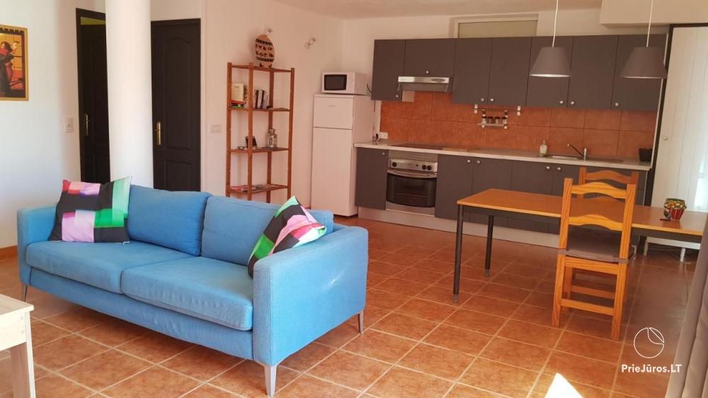 Arico apartment with terrace for rent in Tenerife - 1