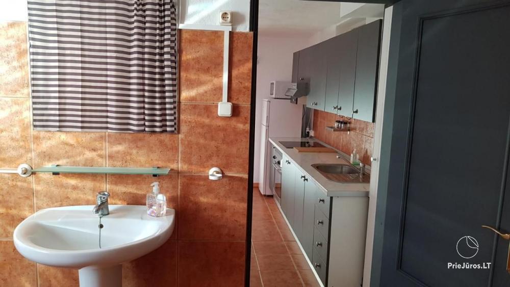 Arico apartment with terrace for rent in Tenerife