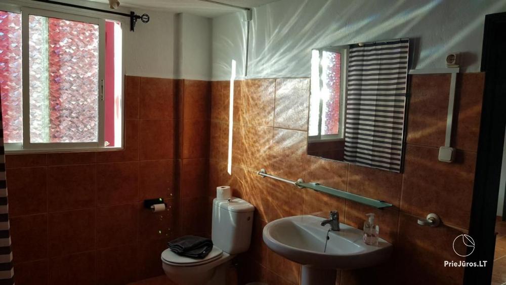 Arico apartment with terrace for rent in Tenerife