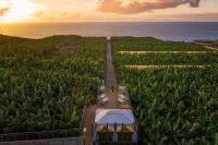 Апартаменты на банановой плантации "Hacienda La Dehesa" на Тенерифе