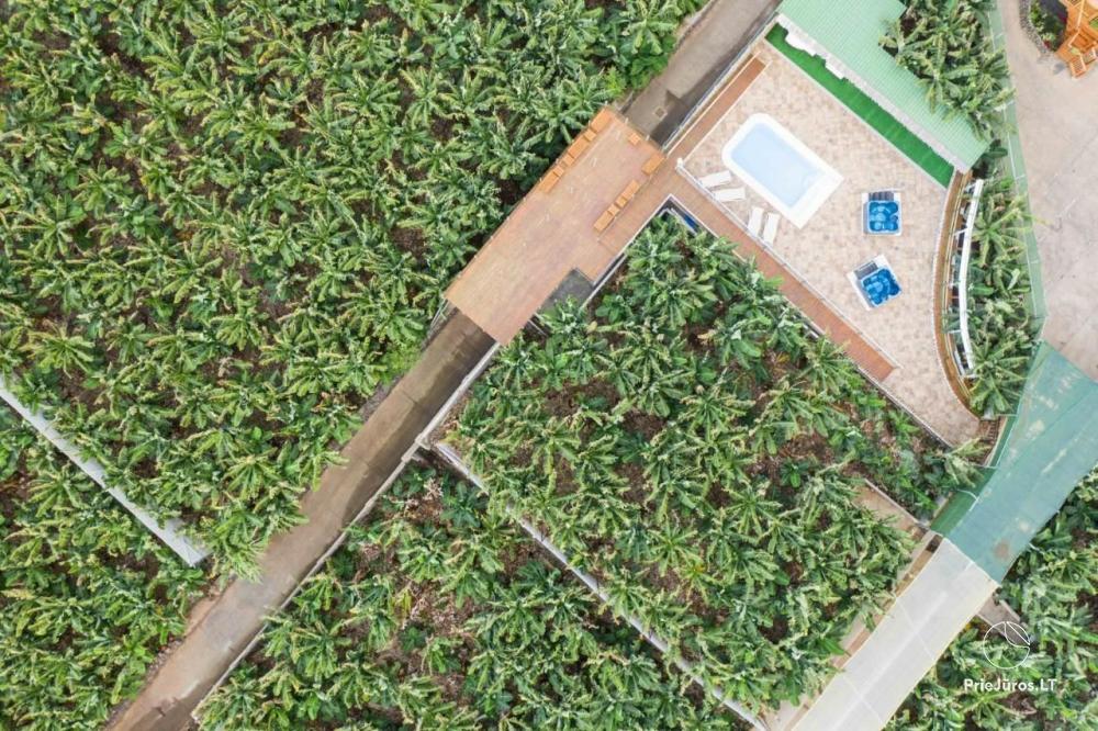 Апартаменты на банановой плантации Hacienda La Dehesa на Тенерифе