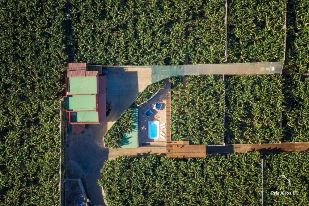 Апартаменты на банановой плантации Hacienda La Dehesa на Тенерифе