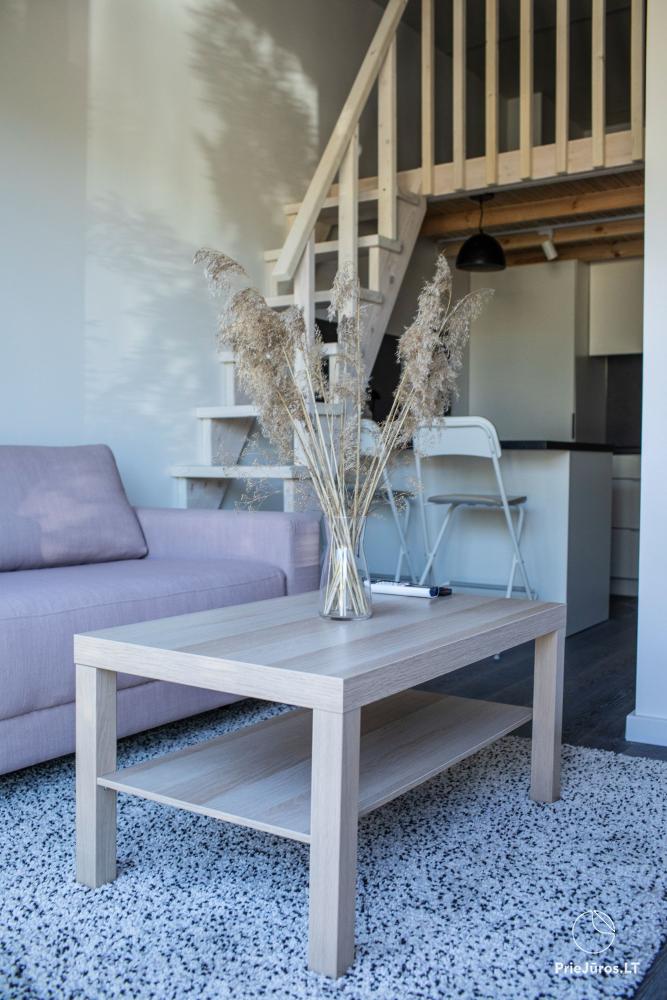 Olive House Nida