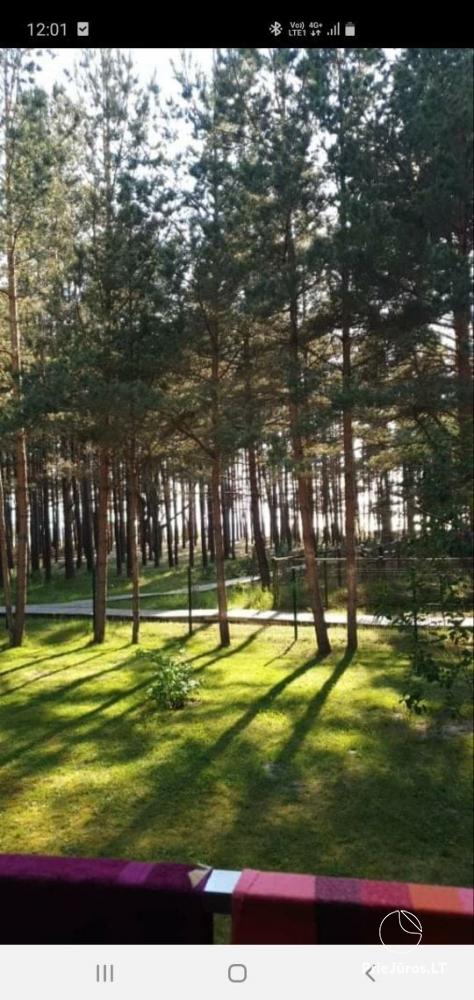 Квартира у моря в Кунигишкяй
