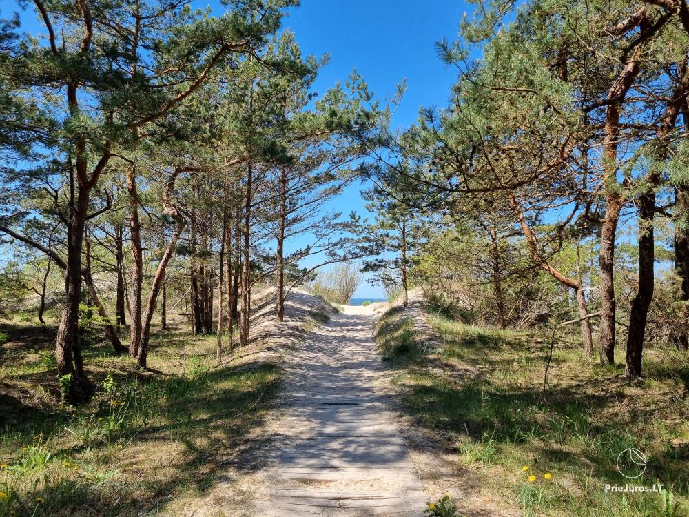 Новые квартиры в Кунигишкяй, недалеко от Балтийского моря - Nendres 10