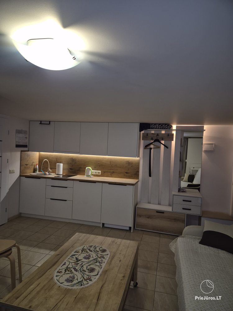 Flat with balcony and terrace for rent in center of Sventoji - 1
