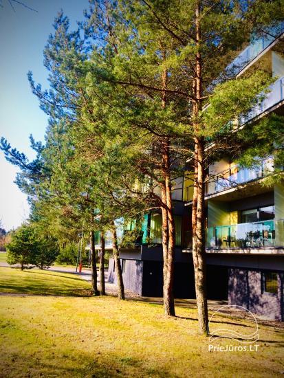 Bright, cosy 2 rooms flat for rent in Palanga