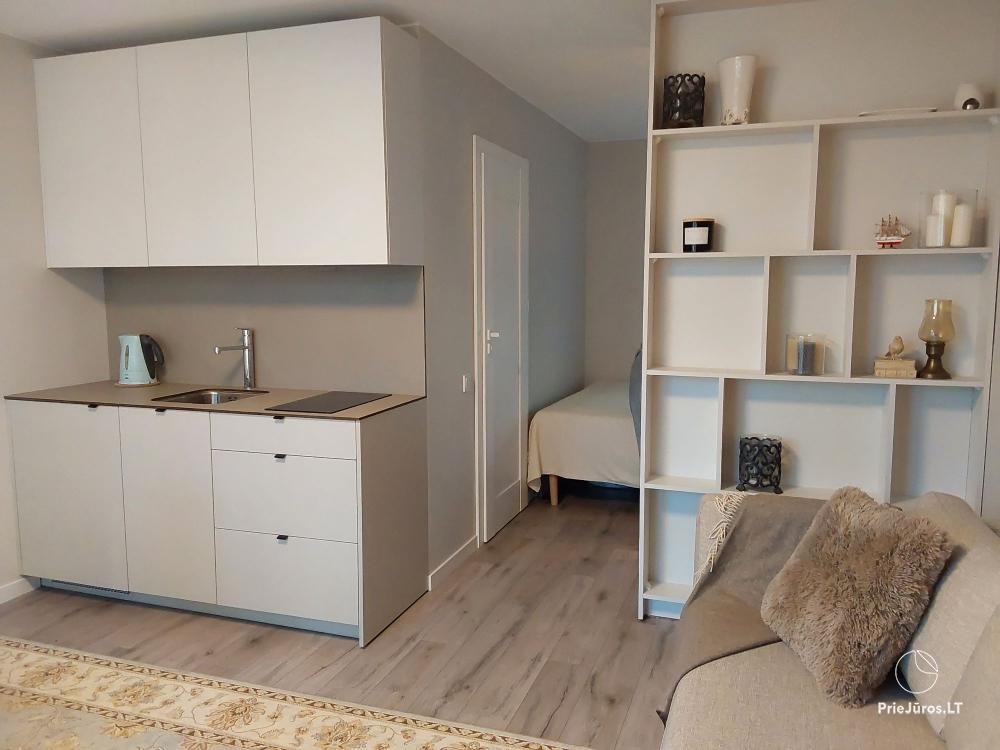 Newly furnished apartment Kopų Smilga in Juodkrante