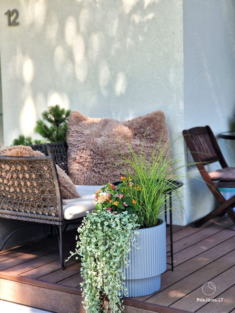 Newly furnished apartment Kopų Smilga in Juodkrante
