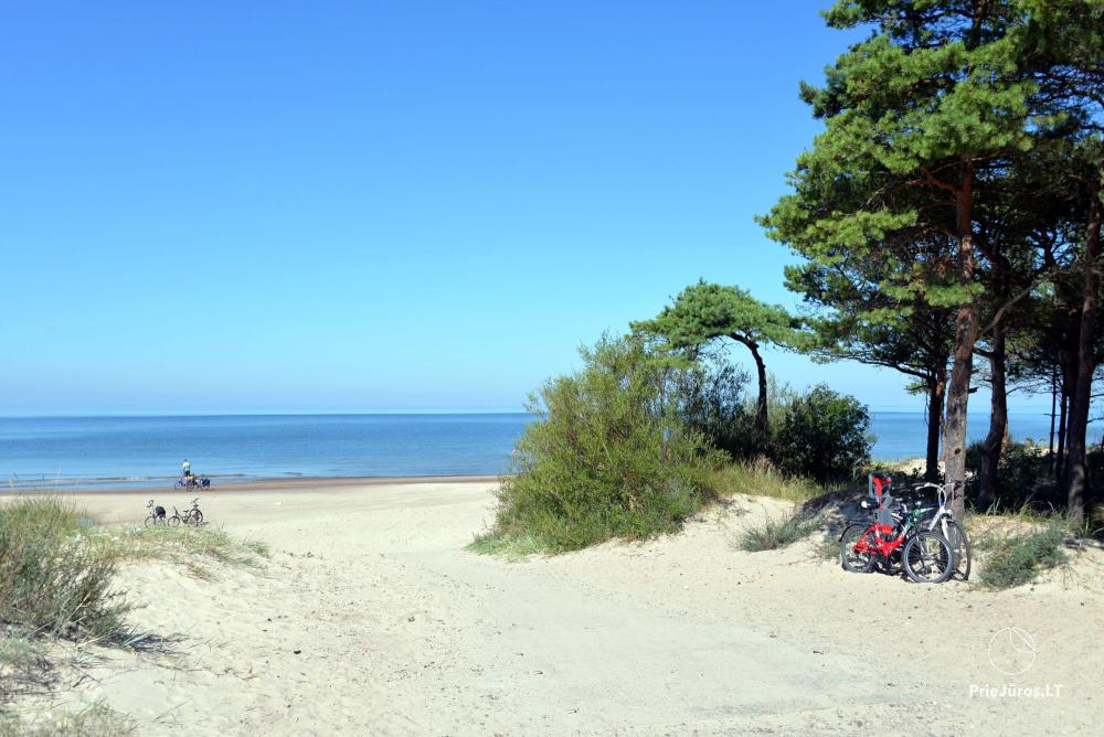 Apartment for rent in Palanga, Smilčių 11A