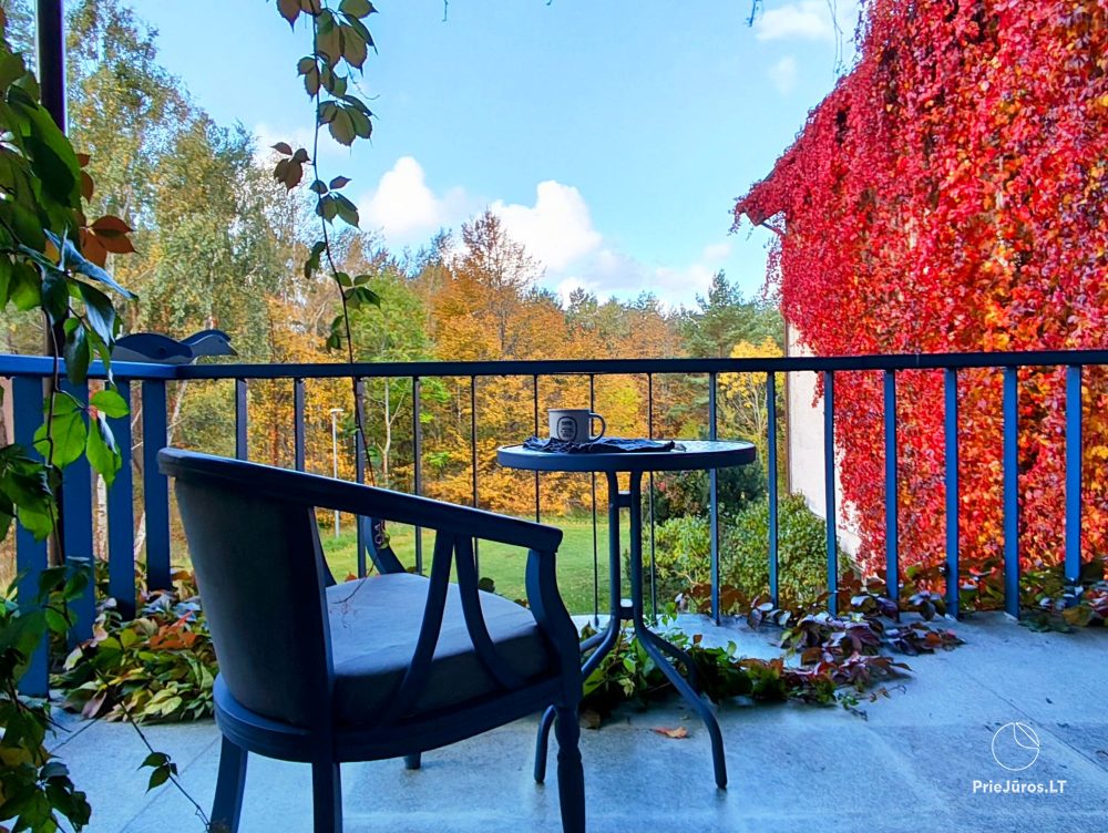 Meynas balkonas в Ниде - 1