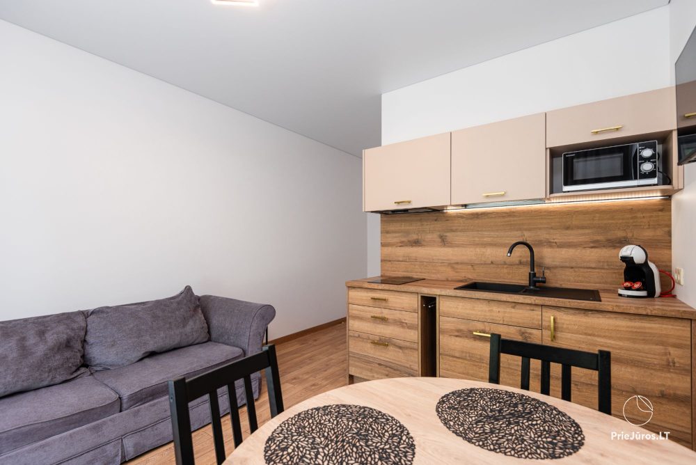 Rest house and apartments for rent in Palanga and in Kunigiskiai - 1