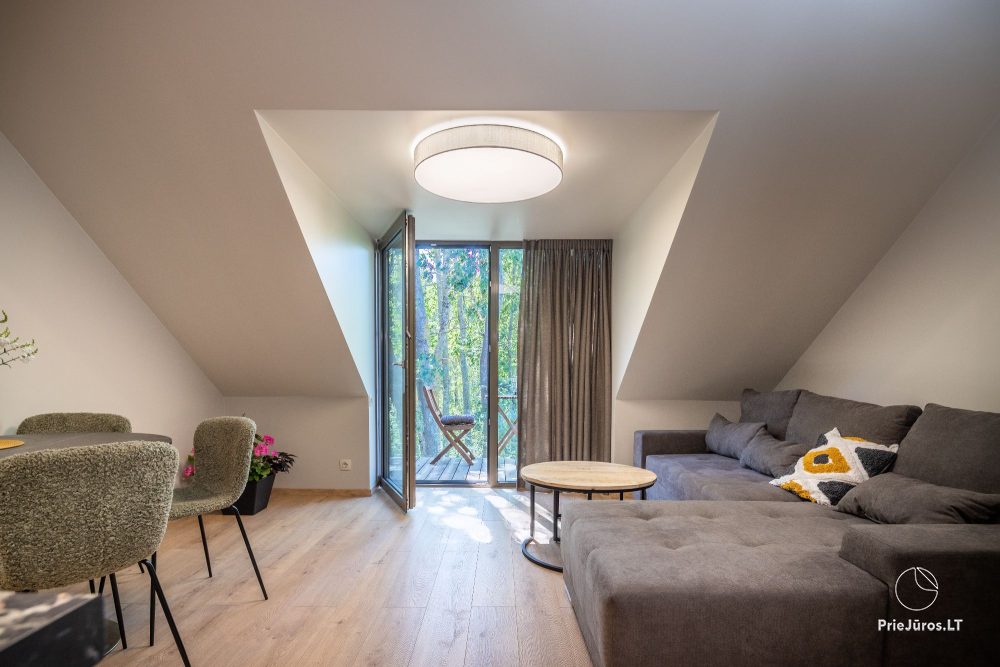 100 steps to the sea - apartments for rent in Preila