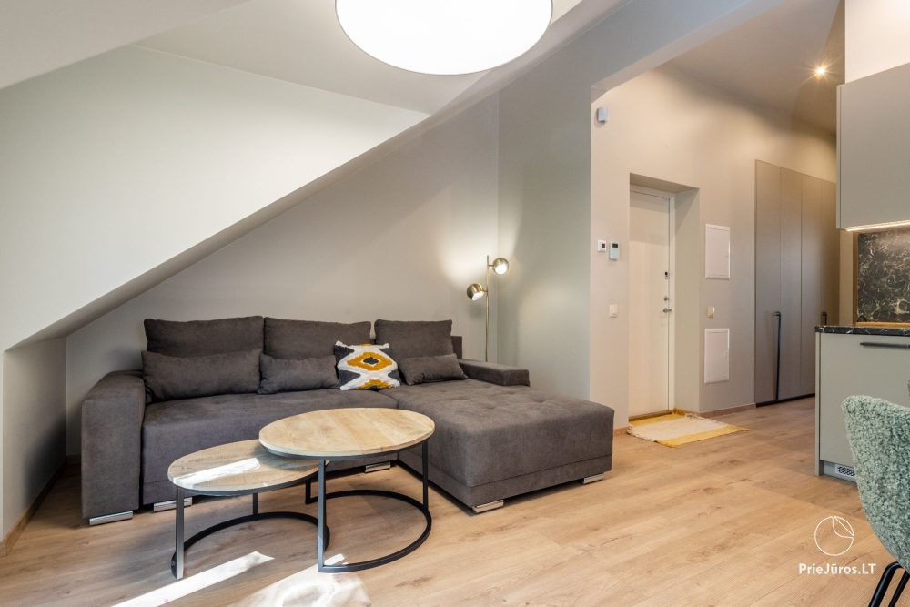 100 steps to the sea - apartments for rent in Preila