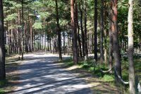 Cottage for rent in Kunigiskiai