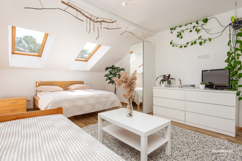 Closer to nature apartments for rent in Nida - 1