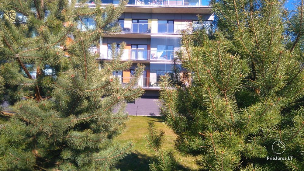 Apartments in Vanagupė district, Palanga