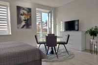 A new apartment in gray shades in Kretinga