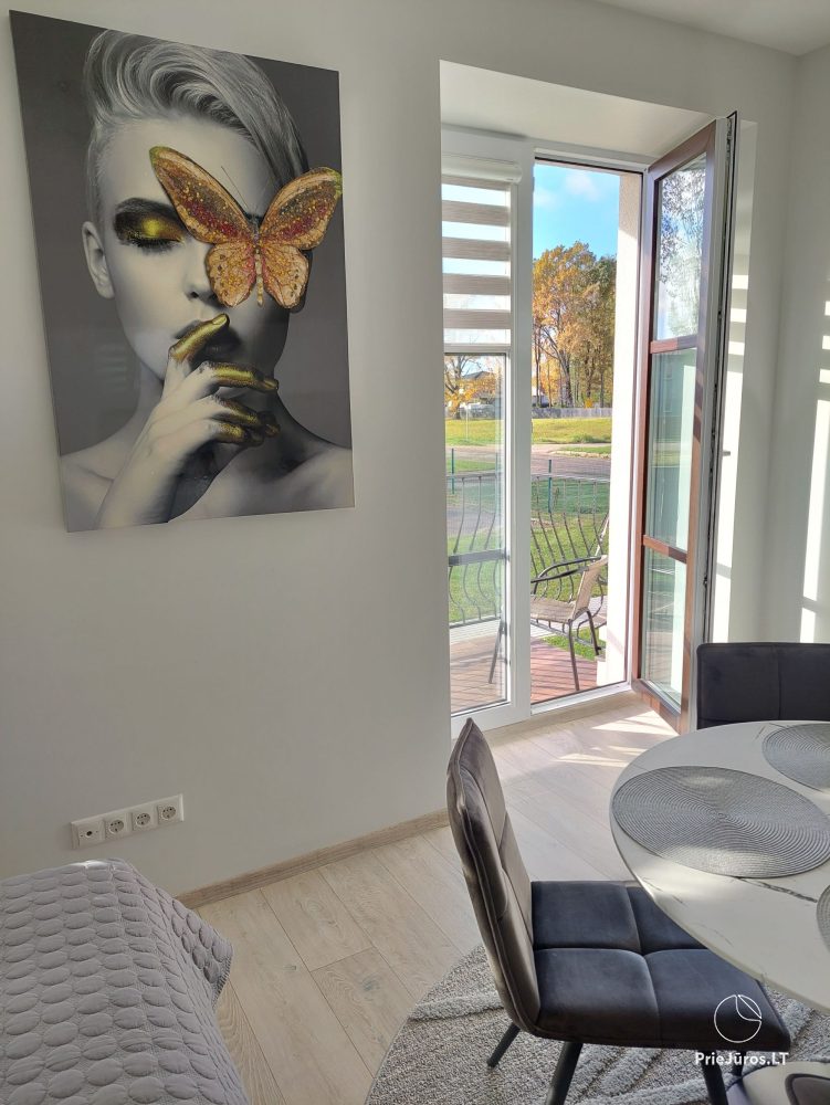 A new apartment in gray shades in Kretinga