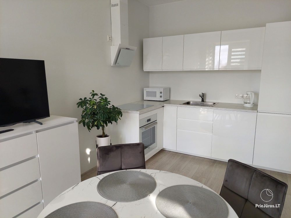 A new apartment in gray shades in Kretinga