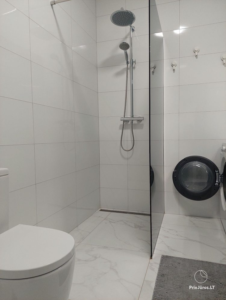 A new apartment in gray shades in Kretinga