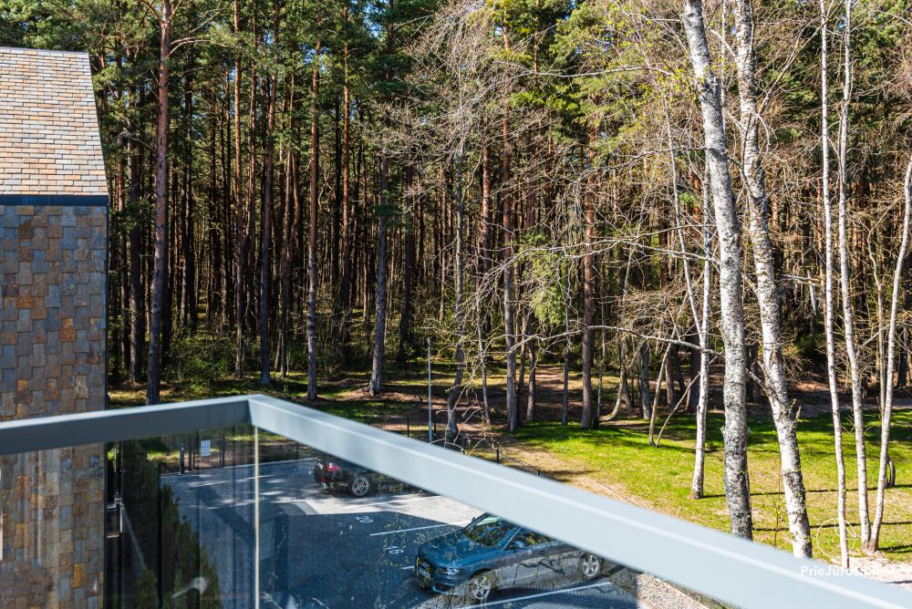 New, spacious J&D Apartment in Palanga near a pine forest, 400 m to the sea