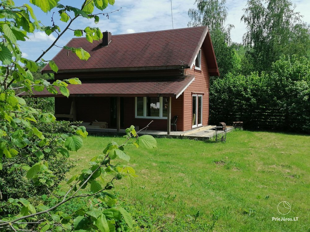 Elniaragio Guolis - Cozy relaxation in nature with the pleasures of a sauna surrounded by deer - 1