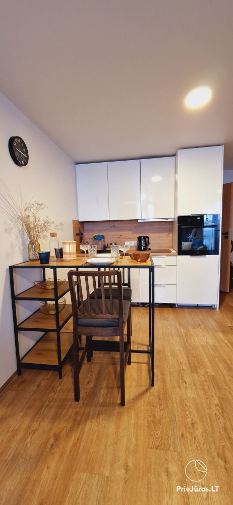 Apartment R15 in Sventoji