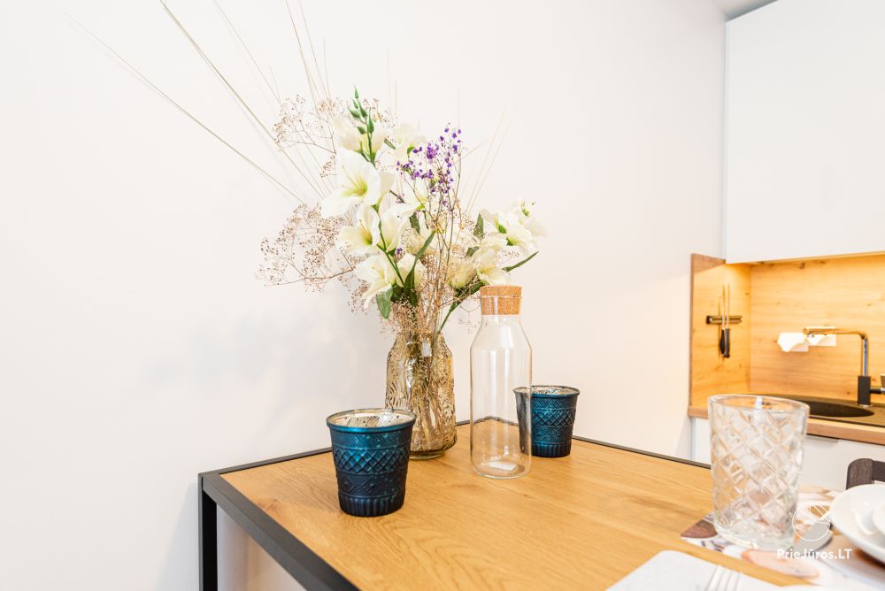 Apartment R15 in Sventoji