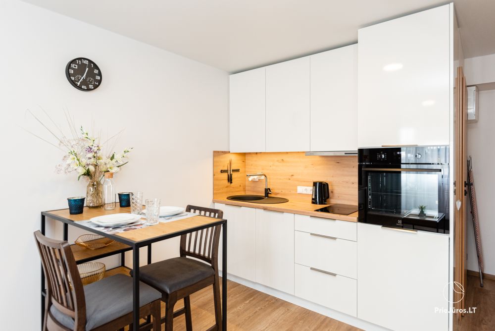 Apartment R15 in Sventoji