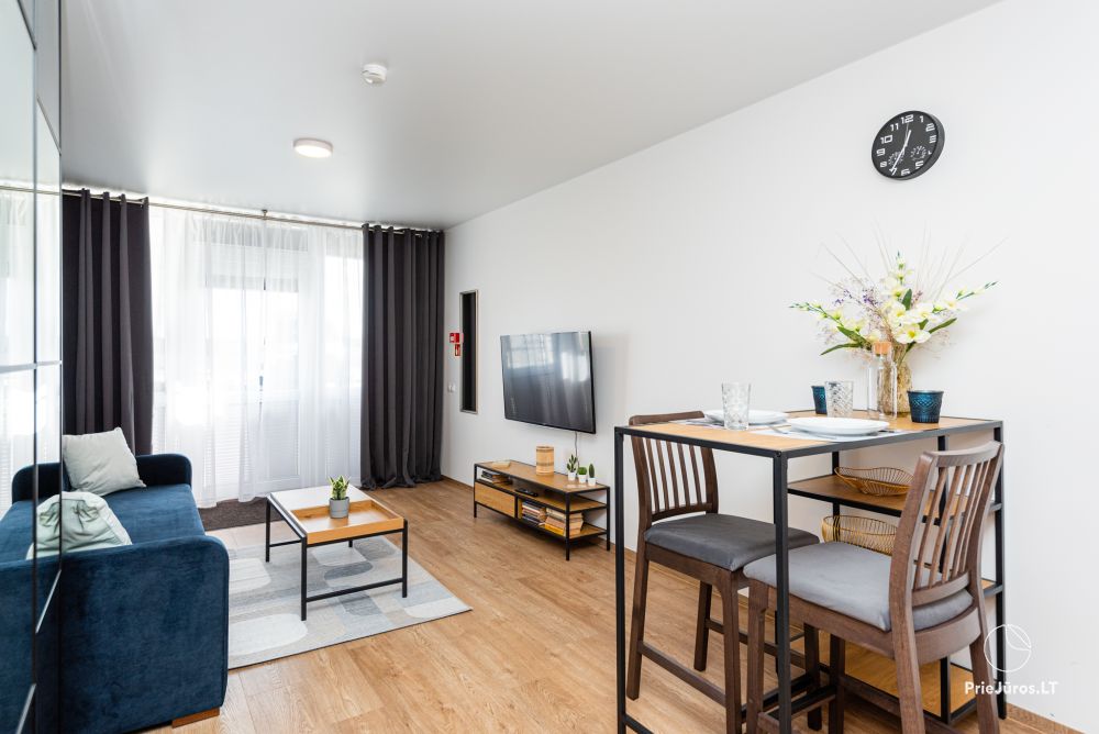 Apartment R15 in Sventoji