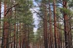 Квартира R15 в Швянтойи - 4