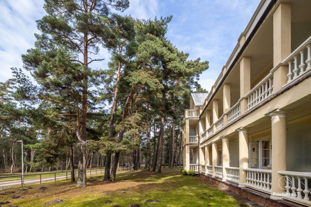 Meilės Alėja Home – Palanga – Studio for Two in a Fantastic Location by the Park, 3 Min to the Sea