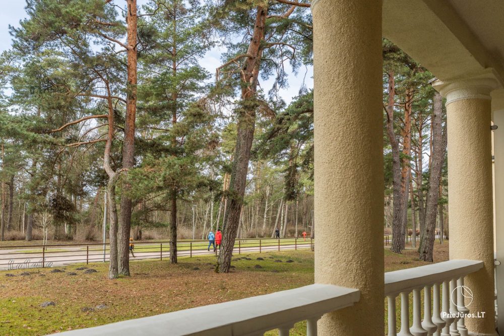 Meilės Alėja Home – Palanga – Studio for Two in a Fantastic Location by the Park, 3 Min to the Sea