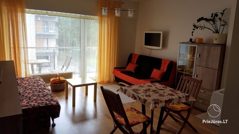 Солнечная и уютная квартира-студия в Паланге