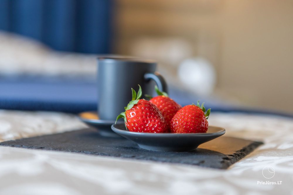 Living & Lifestyle Home - cozy, stylish, comfortable homes near Klaipeda Old Town