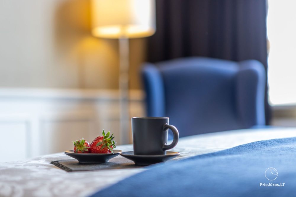 Living & Lifestyle Home - cozy, stylish, comfortable homes near Klaipeda Old Town