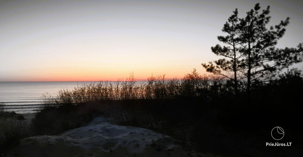 Pusu tako villa in Palanga. Villa, apartments , rooms for rent