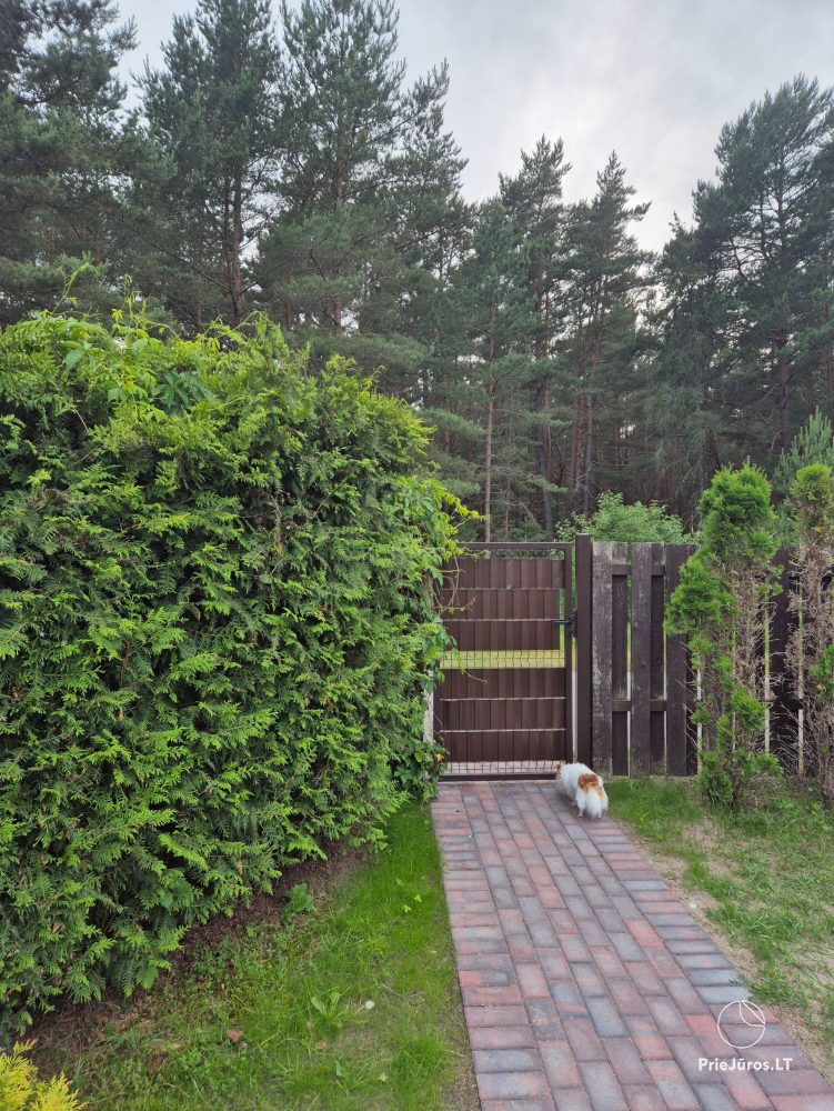 Pusu tako villa in Palanga. Villa, apartments , rooms for rent