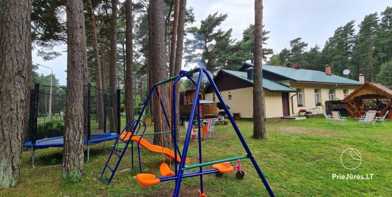 Among Seaside Pines Cottages for rent