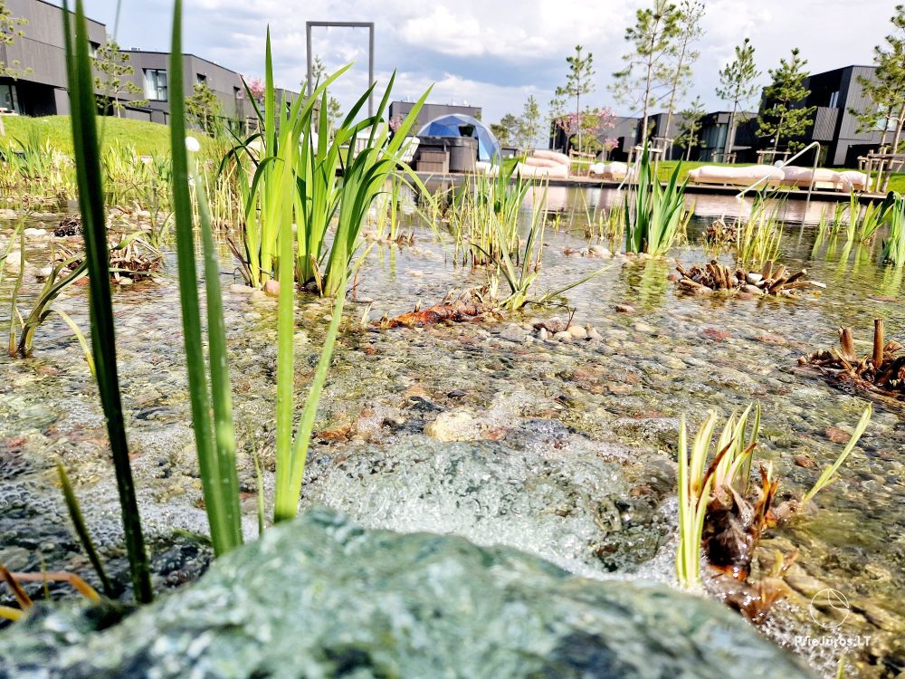 Basom home – My sea 3, Kunigiškiai – apartments with a terrace next to an eco pool, beautiful green area
