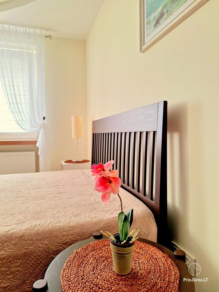 Apartments City Memories Apartment for rent in the very center of Klaipėda. - 1