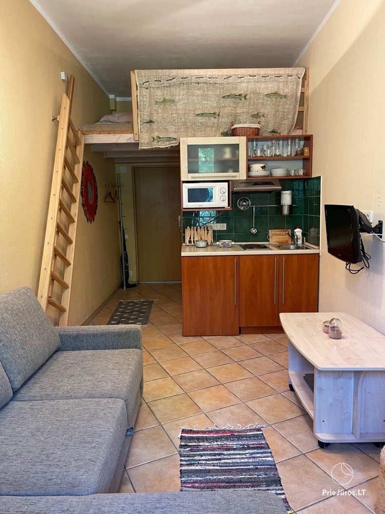 Apartment for rent in Juodkrante, Vilau street