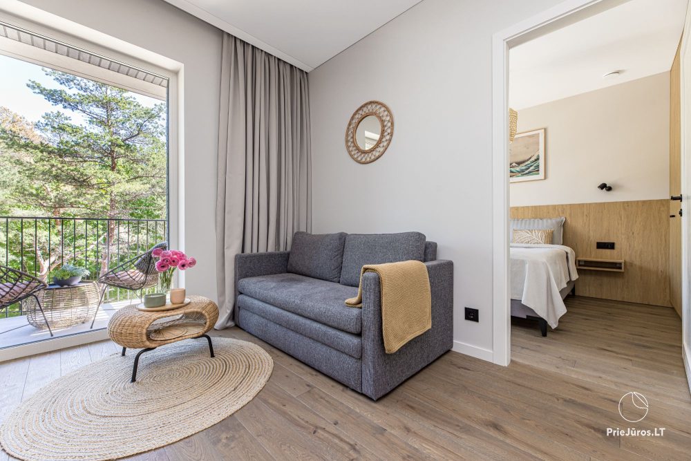 Vanagupes pusyno spa apartment in Palanga